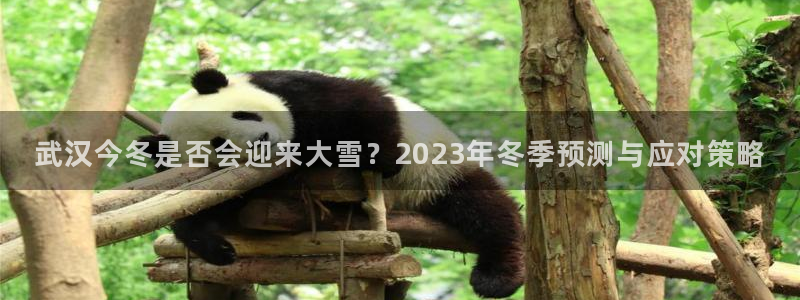 天顺娱乐app下载：武汉今冬是否会迎来大雪？2023年冬季预测与应对策略
