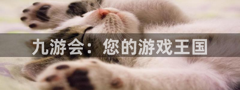 壹号app下载：九游会：您的游戏王国