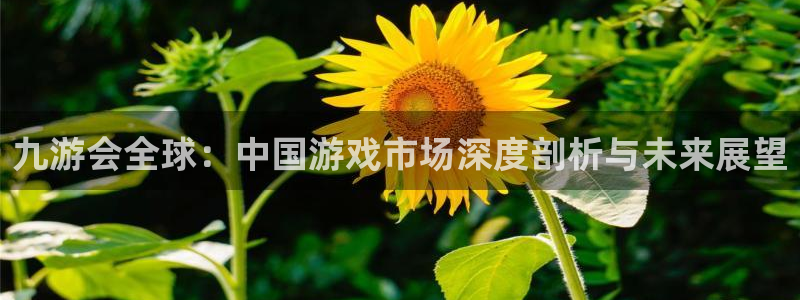 壹号大舞台怎么下载：九游会全球：中国游戏市场深度剖析与未来展望