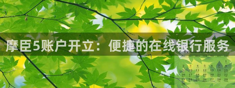 壹号大舞台娱乐传媒：摩臣5账户开立：便捷的在线银行服务