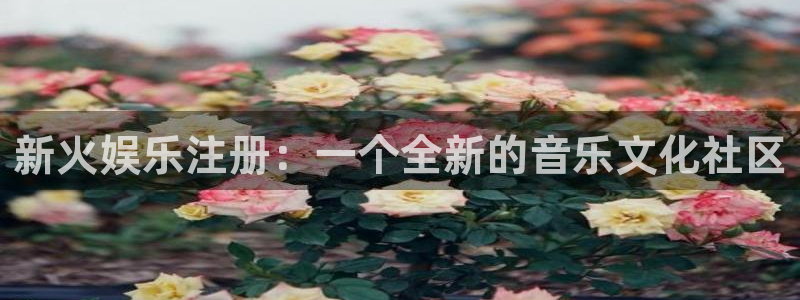 壹号下载官网入口：新火娱乐注册：一个全新的音乐文化社区