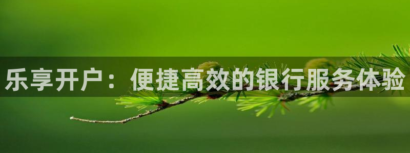 天顺娱乐app下载地址：乐享开户：便捷高效的银行服务体验