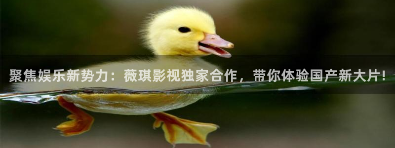 壹号top娱乐：聚焦娱乐新势力：薇琪影视独家合作，带你体验国产新大片!
