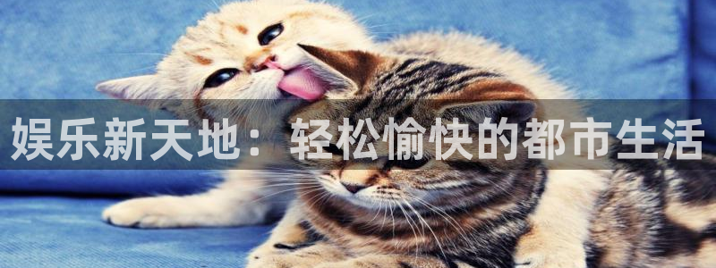 壹号平台下载：娱乐新天地：轻松愉快的都市生活