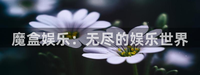 壹号大舞台：魔盒娱乐：无尽的娱乐世界