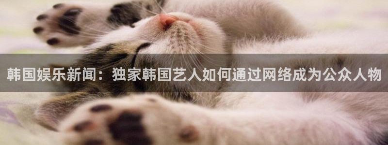 壹号注册入口app下载：韩国娱乐新闻：独家韩国艺人如何通过网络成为公众人物