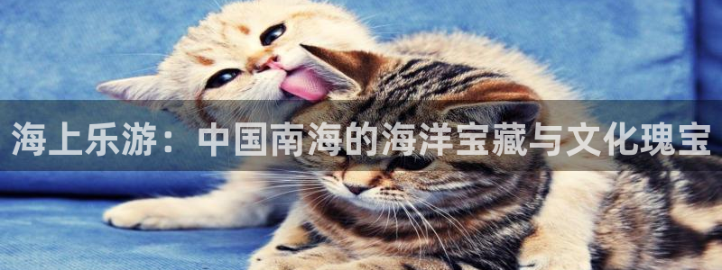 壹号大舞台娱乐传媒：海上乐游：中国南海的海洋宝藏与文化瑰宝