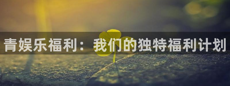 天顺娱乐app官网下载：青娱乐福利：我们的独特福利计划