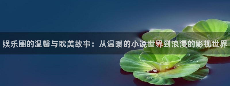 壹号大舞台官网：娱乐圈的温馨与耽美故事：从温暖的小说世界到浪漫的影视世界