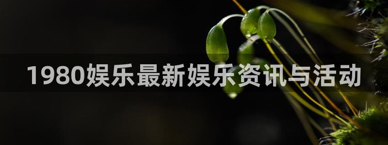 天顺娱乐app下载：1980娱乐最新娱乐资讯与活动