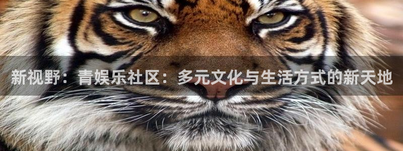 天顺娱乐科技赋能,让平台更有趣：新视野：青娱乐社区：多元文化与生活方式的新天地