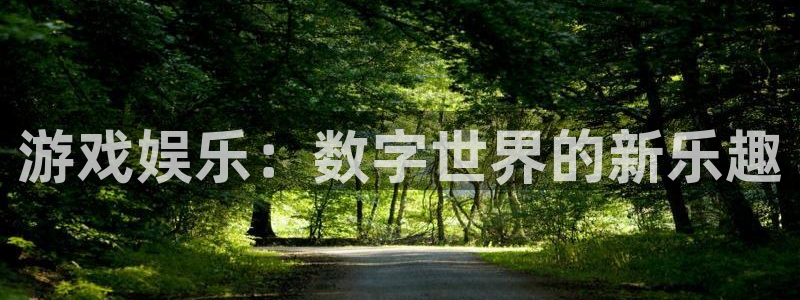天顺娱乐退款怎么退：游戏娱乐：数字世界的新乐趣