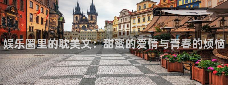天顺娱乐app下载：娱乐圈里的耽美文：甜蜜的爱情与青春的烦恼