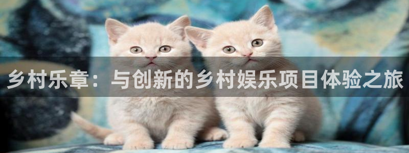 天顺娱乐怎么下载：乡村乐章：与创新的乡村娱乐项目体验之旅