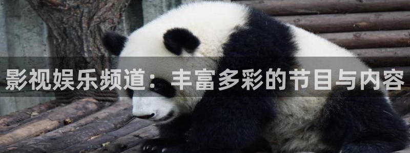 天顺娱乐退款怎么退：影视娱乐频道：丰富多彩的节目与内容