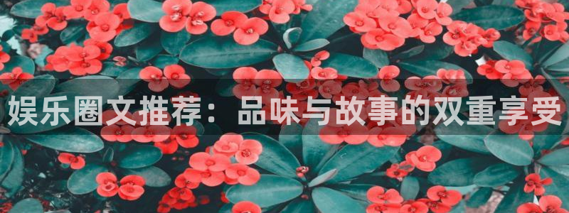 天顺娱乐app：娱乐圈文推荐：品味与故事的双重享受