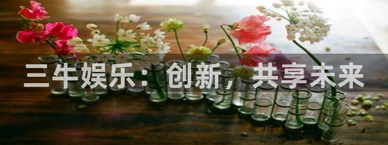 天顺娱乐,apk：三牛娱乐：创新，共享未来