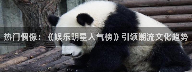天顺娱乐下载入口：热门偶像：《娱乐明星人气榜》引领潮流文化趋势