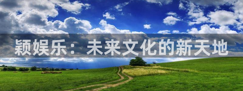 壹号大舞台28国际大舞台：颖娱乐：未来文化的新天地