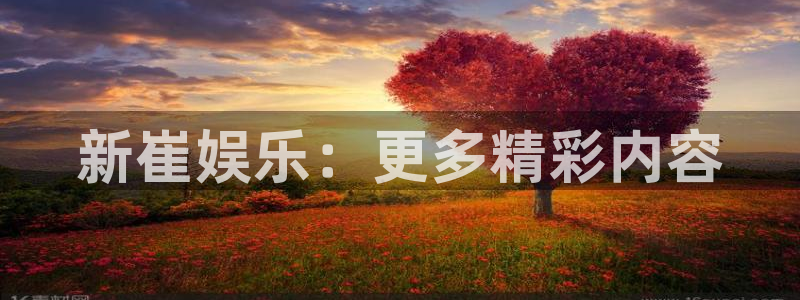 壹号app官网：新崔娱乐：更多精彩内容