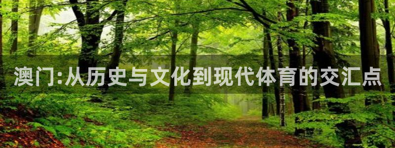 天顺娱乐,com：澳门:从历史与文化到现代体育的交汇点