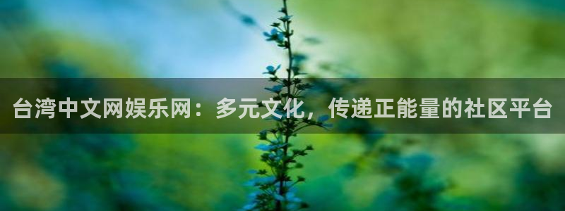 壹号top娱乐：台湾中文网娱乐网：多元文化，传递正能量的社区平台