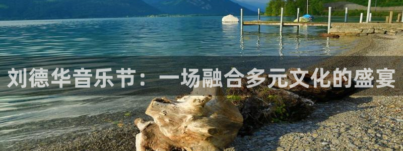 天顺娱乐 - ng大舞台,有梦你就来：刘德华音乐节：一场融合多元文化的盛宴