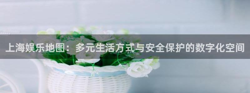 天顺娱乐怎么下载：上海娱乐地图：多元生活方式与安全保护的数字化空间