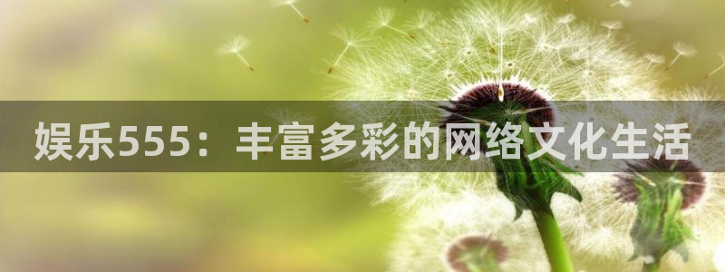 天顺娱乐充值怎么退款：娱乐555：丰富多彩的网络文化生活